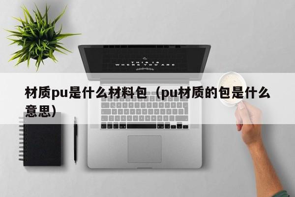 材质pu是什么材料包（pu材质的包是什么意思）